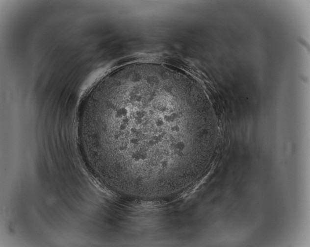 X0000091190149200708231516