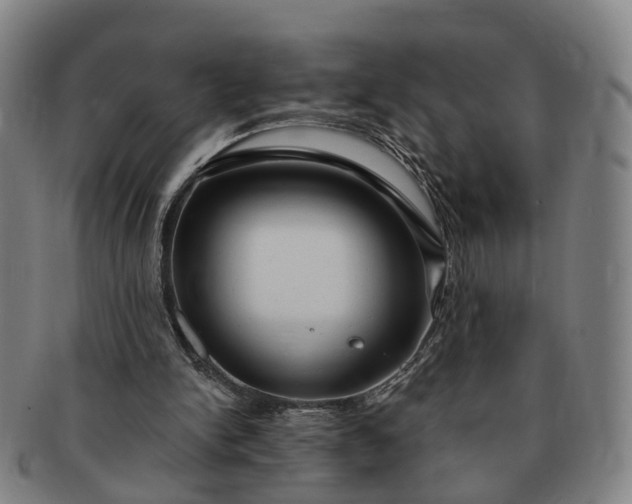 X0000091190150200708231516