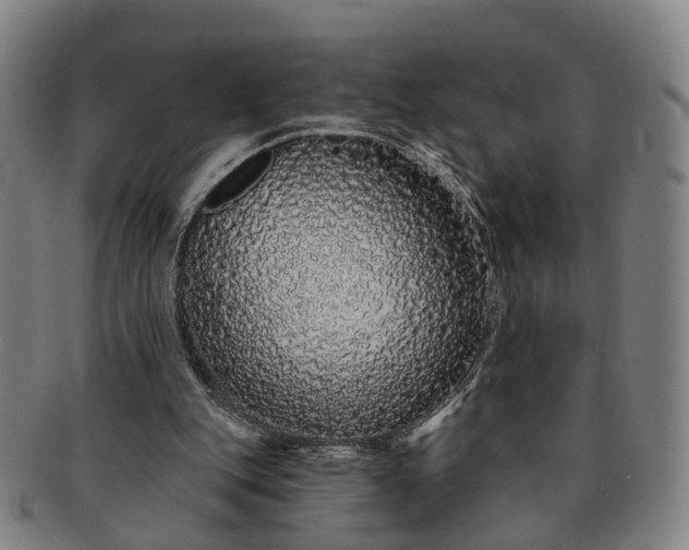 X0000091190151200708231516