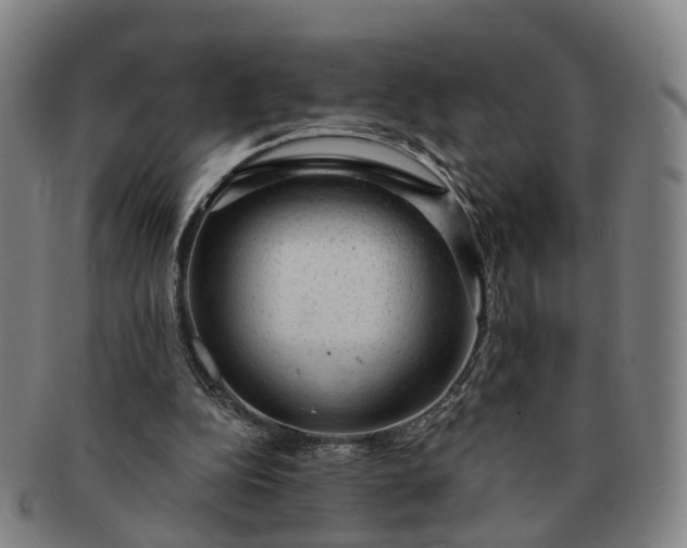 X0000091190152200708231516