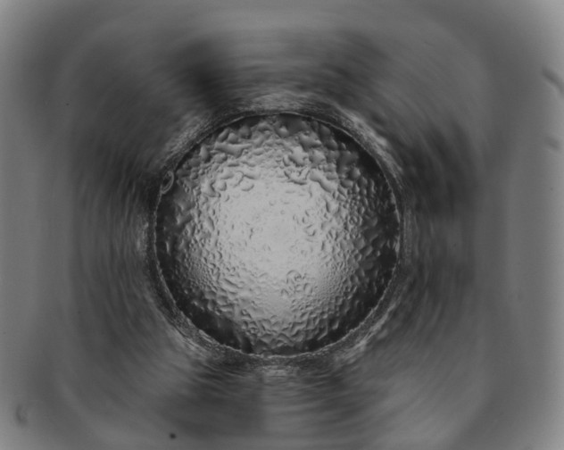 X0000091190153200708231516