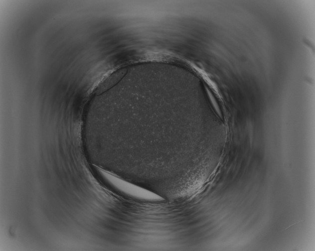 X0000091190154200708231516