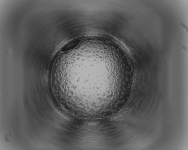 X0000091190155200708231516