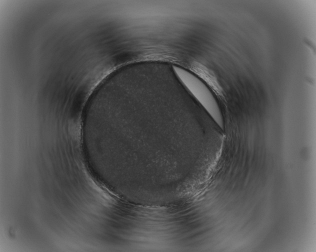 X0000091190156200708231516