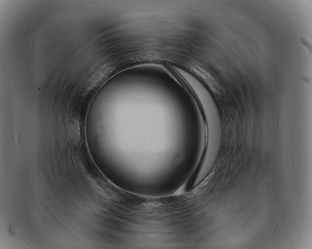 X0000091190158200708231516