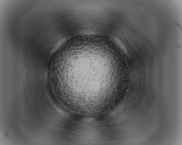 X0000091190159200708231516