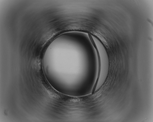 X0000091190160200708231516