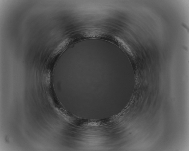 X0000091190163200708231516