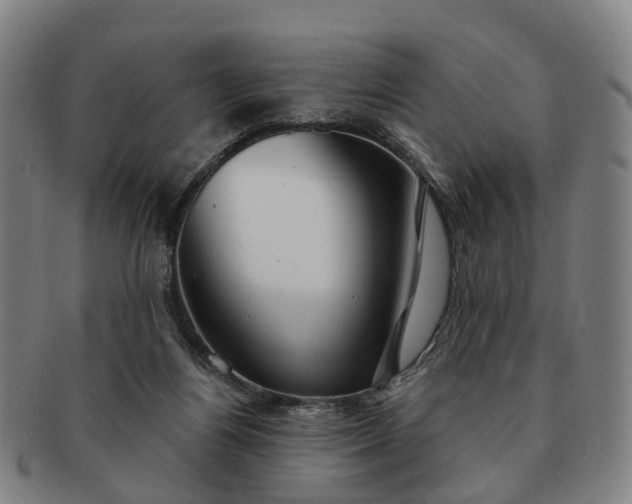 X0000091190164200708231516