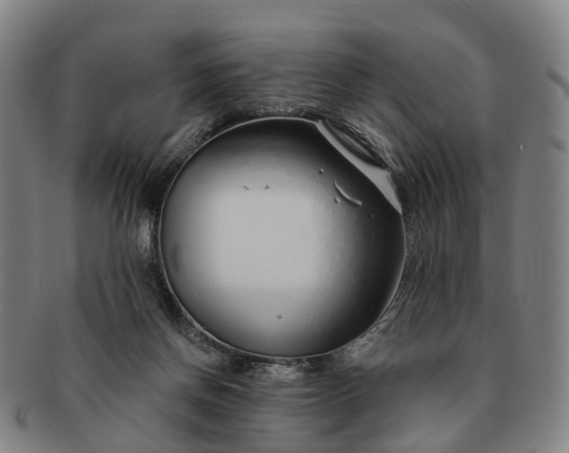 X0000091190166200708231516