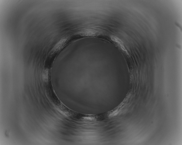 X0000091190167200708231516