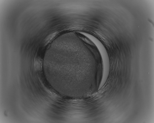 X0000091190168200708231516