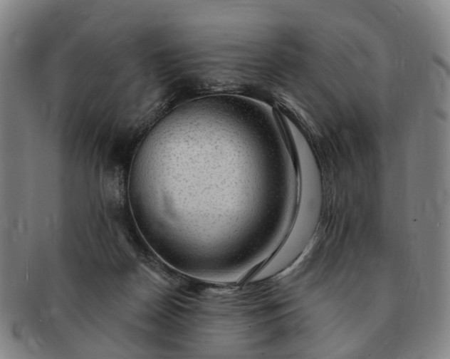 X0000091190170200708231516