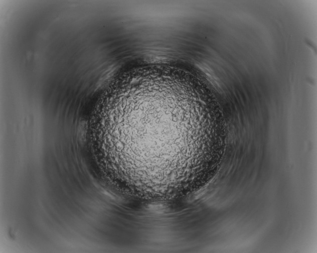 X0000091190171200708231516