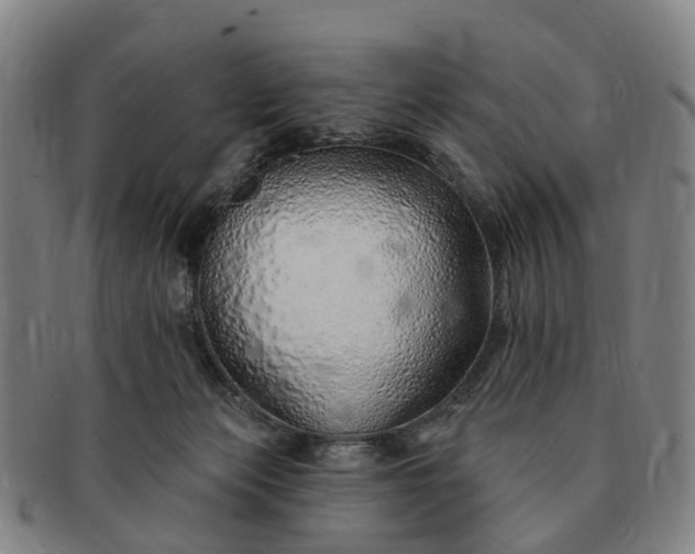 X0000091190173200708231516