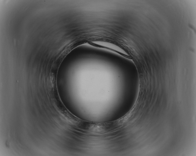 X0000091190174200708231516