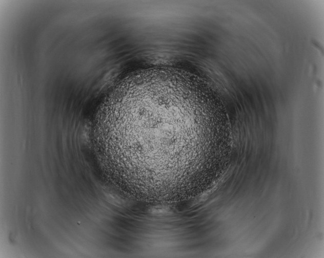 X0000091190175200708231516