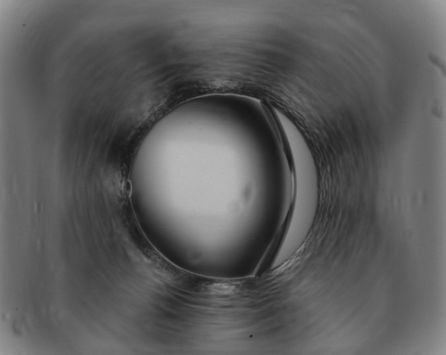 X0000091190176200708231516