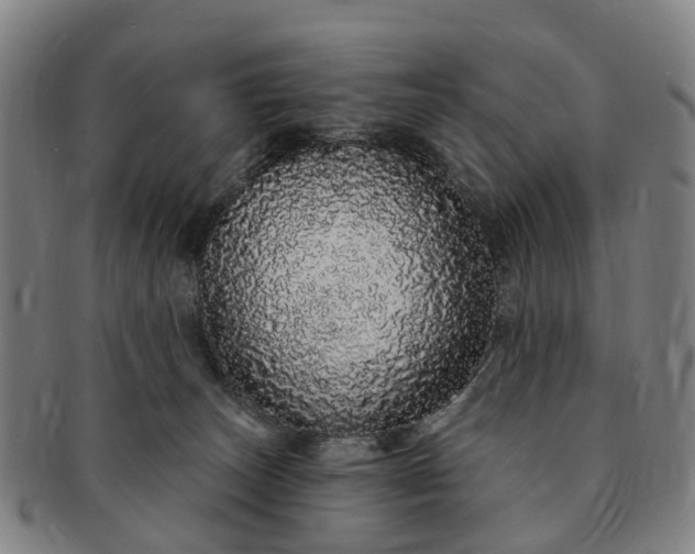 X0000091190179200708231516