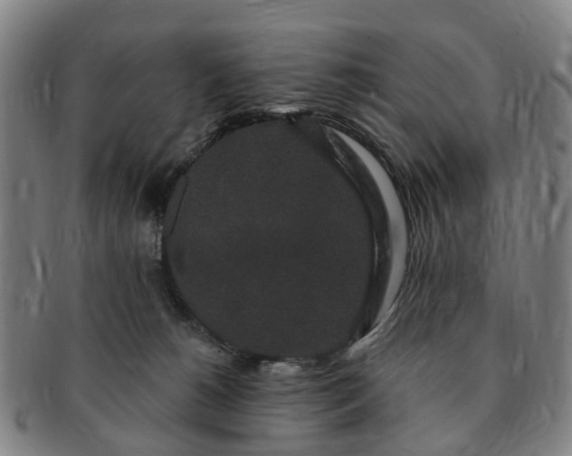 X0000091190180200708231516