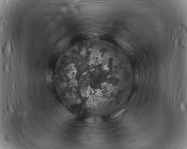 X0000091190181200708231516