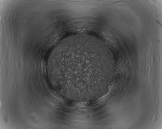 X0000091190182200708231516