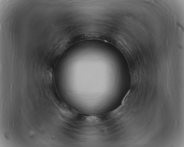 X0000091190183200708231516