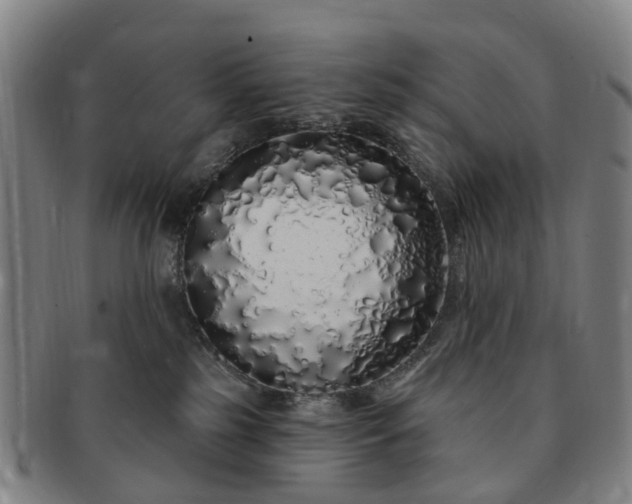 X0000091190185200708231516