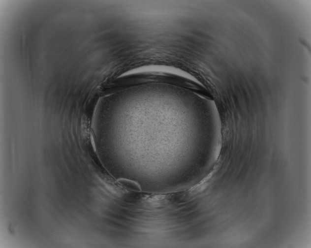 X0000091190186200708231516