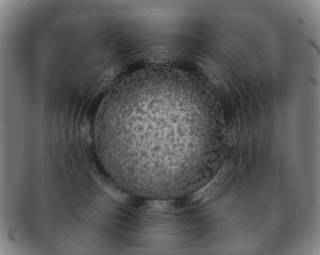 X0000091190187200708231516