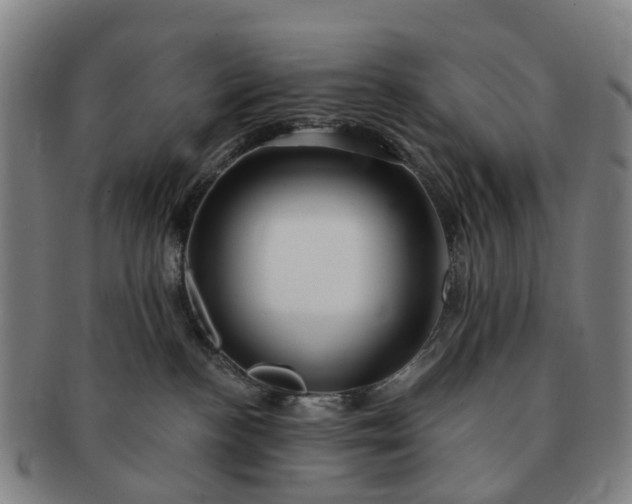 X0000091190188200708231516