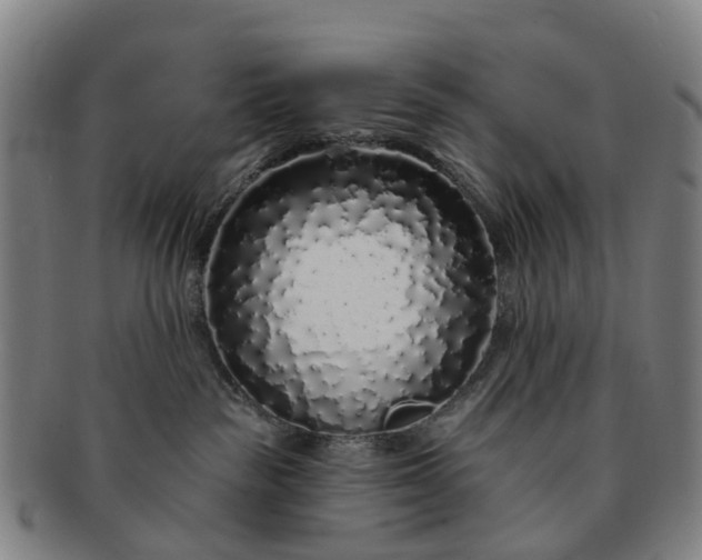 X0000091190189200708231516