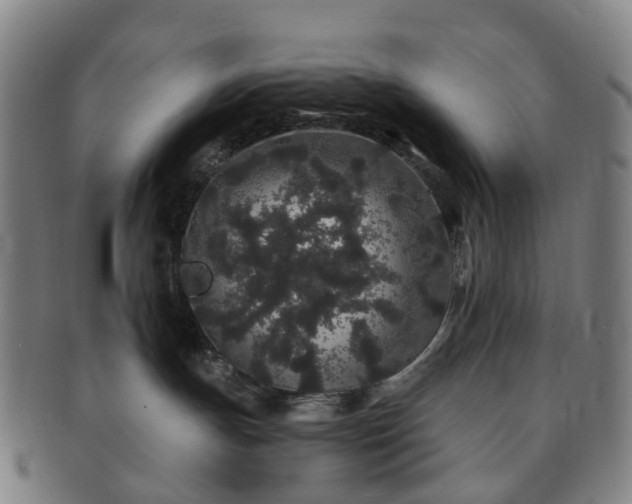 X0000091190191200708231516