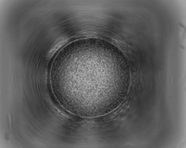 X0000091190194200708231516