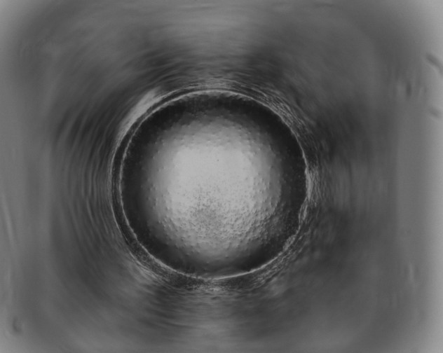 X0000091190195200708231516