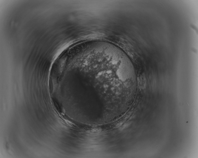 X0000091190196200708231516