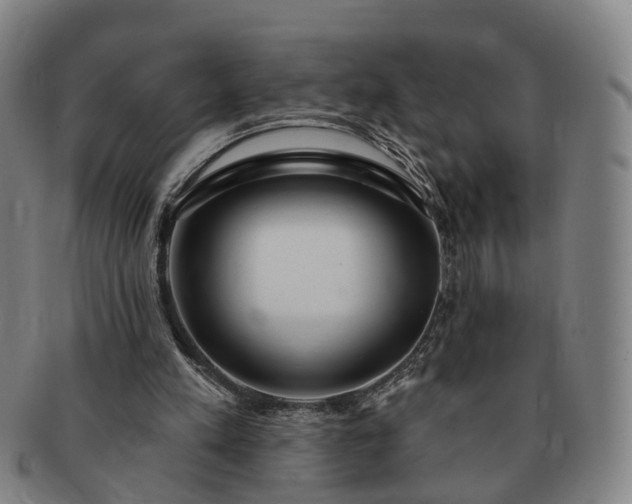 X0000091190197200708231516