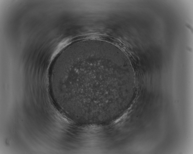 X0000091190198200708231516