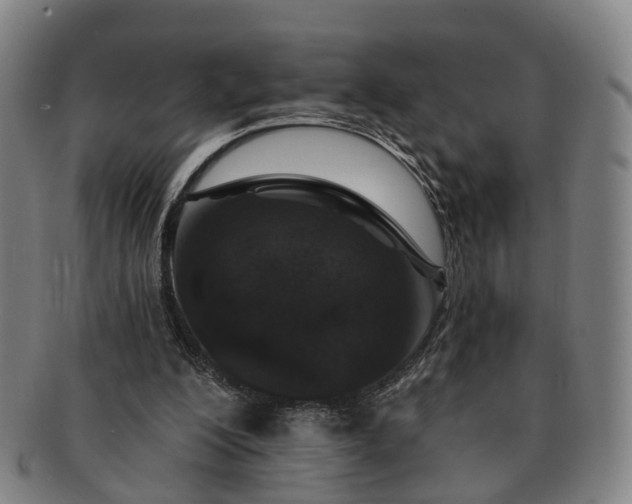 X0000091190200200708231516