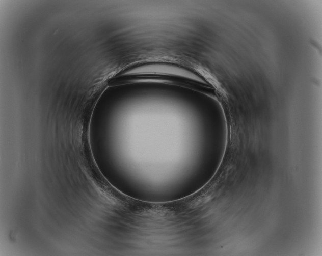 X0000091190201200708231516