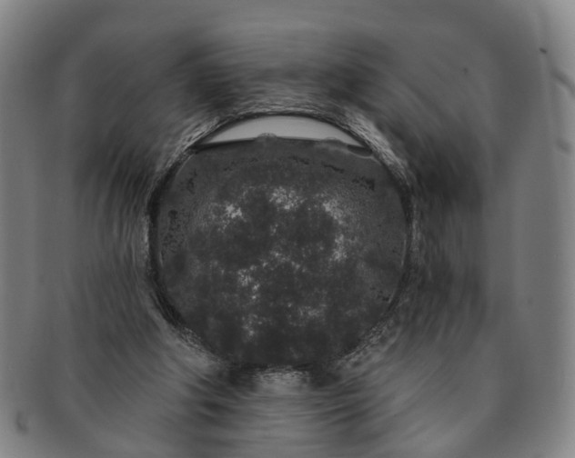 X0000091190202200708231516