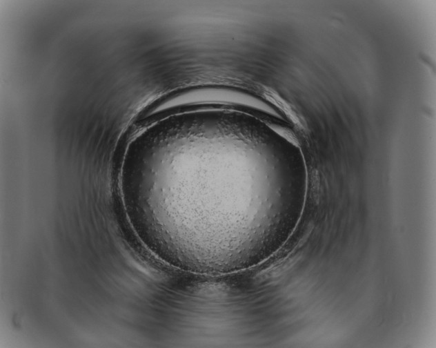 X0000091190203200708231516