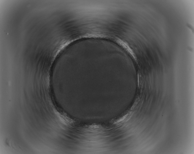 X0000091190204200708231516