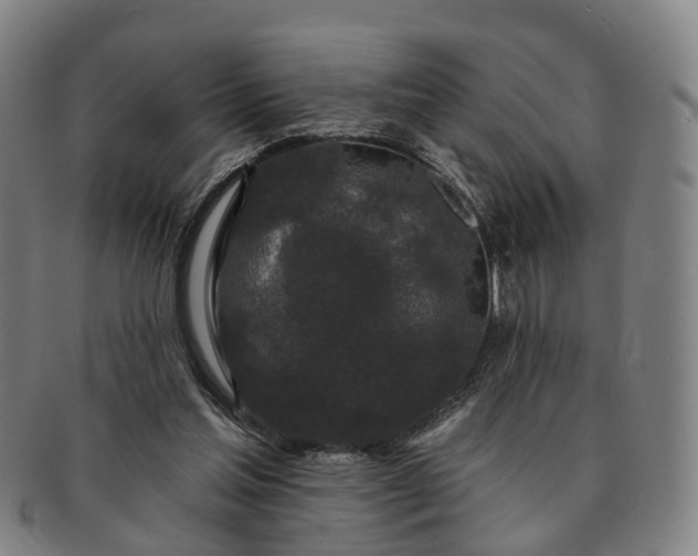 X0000091190205200708231516