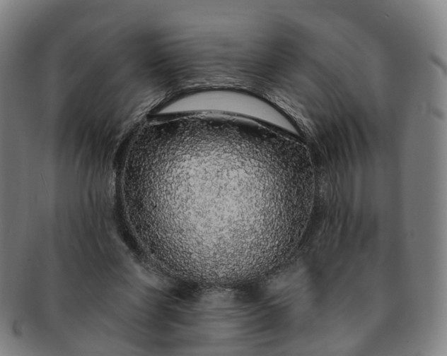 X0000091190206200708231516