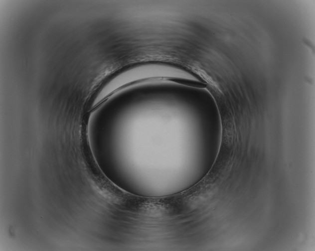 X0000091190207200708231516