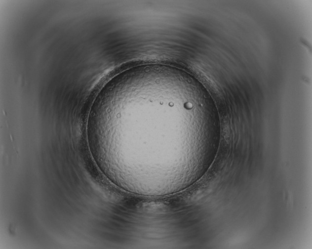 X0000091190208200708231516