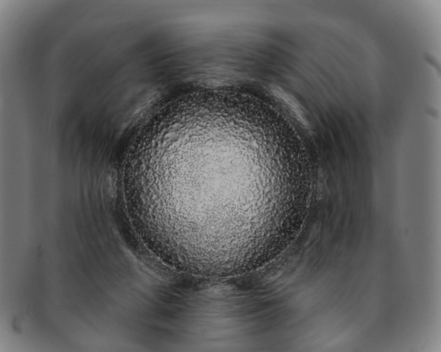 X0000091190210200708231516