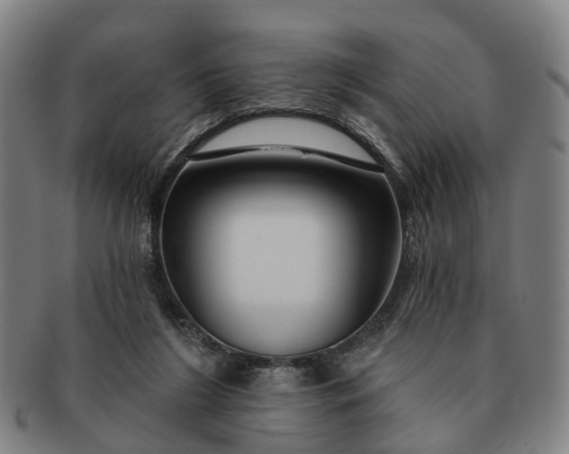 X0000091190212200708231516