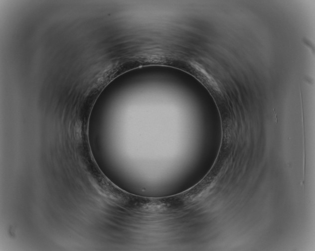 X0000091190213200708231516